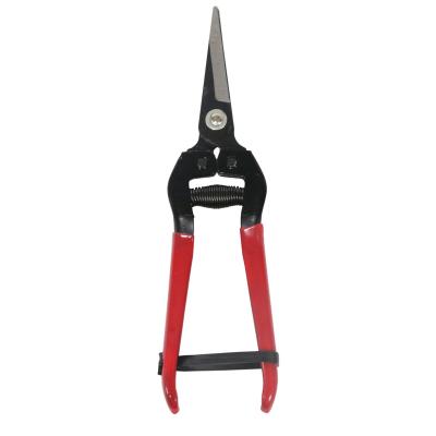 China Anti-Slip Handle Garden Pruning Scissors With Rubber Coated Handle Plant Scissors for sale