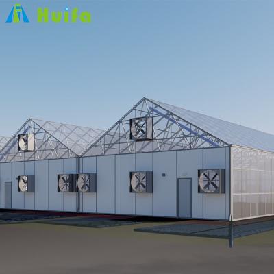 China 100% Commercial Blackout Polycarbonate Greenhouse With Light Deprivation System for sale