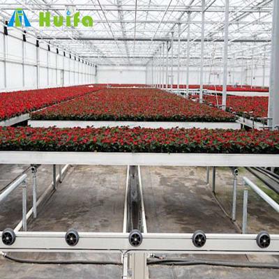 China Greenhouse Hydroponics Hydroponics Rolling Benches For Commercial Greenhouse Benches for sale