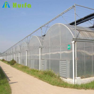 China Vegetable Circles Greenhouse Agricultural Israel Greenhouse Equipment Multi-span Greenhouse for sale