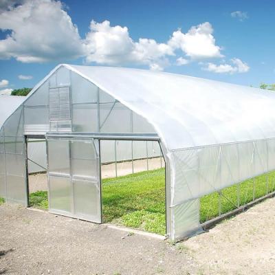 China Layers Chassis Low Cost Green House Easily Assembled Smart Farm Agricultural Greenhouse for sale