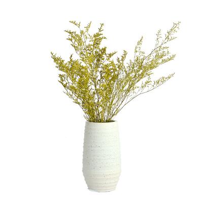 China Indoor Outdoor Florist Supplies Dried German Statice Wedding Decoration Room Decor Flowers Dried Flowers and Plants Wholesale for sale