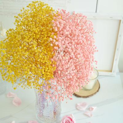 China Table Wholesale Home Decor Baby Supplies Home Interior Florist Supplies Decoration Decotation Breath Preserved Flowers and Plants for sale