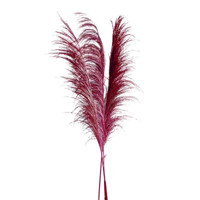 China Hot Selling Events Decoration Lobby Decoration Factory Home Wedding Occasion Decorative Preserved Flowers Pampas Grass Decor for sale