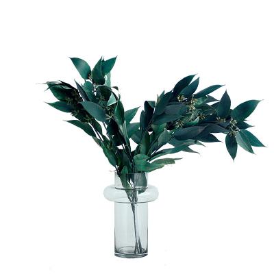 China Fresh Flower Maker Supply Home Accessories Natural Green Flower Craft Preserved Eucalyptus Leaf for sale