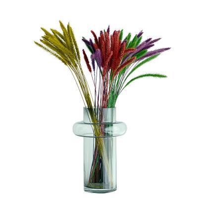 China Wholesale Natural Fresh Flower Florist Supplies Home Decoration Items Preserved Flowers and Plants Dried Natural Foxtail for sale