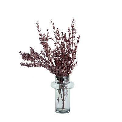 China China Direct High Quality Natural Fresh Flower Home Decor Decorating Your Office Foliage Eucalyptus Forever Stems Leaves Preserved for sale