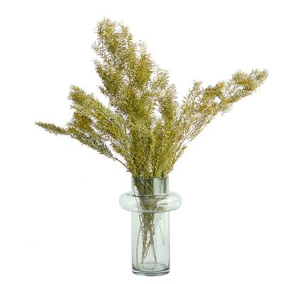 China Wholesale High Quality Natural Fresh Flower Florist Supplies Natural Green Flower Craft Decorations Preserved Flowers and Plants for sale