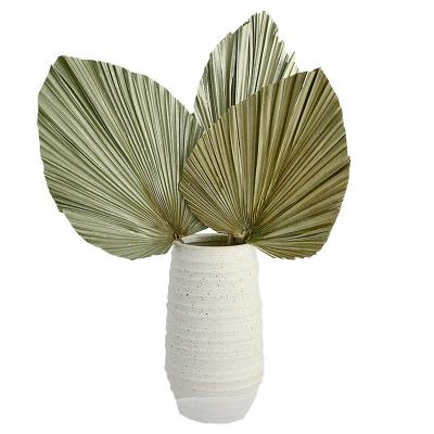 China Wholesale Country Decor Wedding Decoration Centerpieces Home Cattail Leaf Fan Cattail Drying Fan Palm Leaf Dried for sale