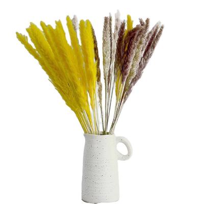 China Wholesale French Country Pampas Grass Manufacturer Decor Florist Supplies Dried Pampas Home Grass Supply The Newest for sale