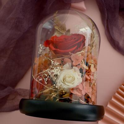 China High quality crafts gift birthday girlfriend gifts preserved glass flowers and plants with good after-sales service for sale