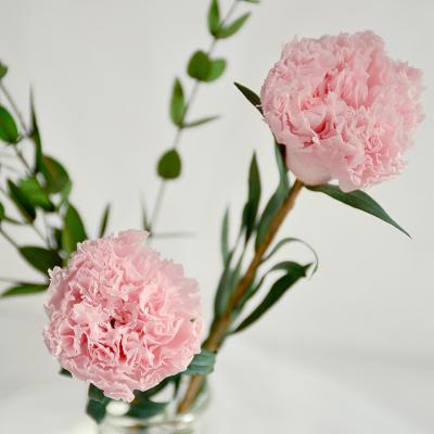 China Natural Wedding Decorations For Home Table Luxury Flowers And Natural Plants Wholesale Preserved Gifts for sale