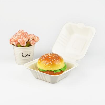 China Waterproof Degradable Environmentally Friendly Tableware Sugar Cane Jelly Pulp Fast Food Package Fruit Cake Hot Dog Hamburger Takeout Box for sale