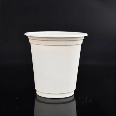 China 8oz/12oz/16oz/22oz Bagasse Clear Cold Drinks Compostable Cups Eco - Friendly Bagasse Disposable Cup for sale