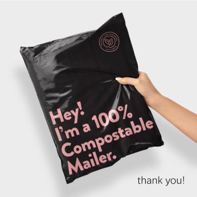 China Strong Adhesive Logo Printing Poly Mailer Courier Custom Mailing Mailing Bags For Clothing for sale