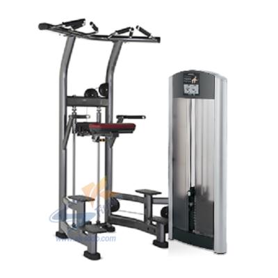 China 2021 Latest Hot Popular High Quality Dip Chin Gym Equipment Bodybuilding Pin Loaded Machine Upper Limbs Fitness Aid for sale