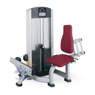 China Hot Selling Bodybuilding Top Quality Commercial Strength Fitness Equipment Seated Calf Machine for sale