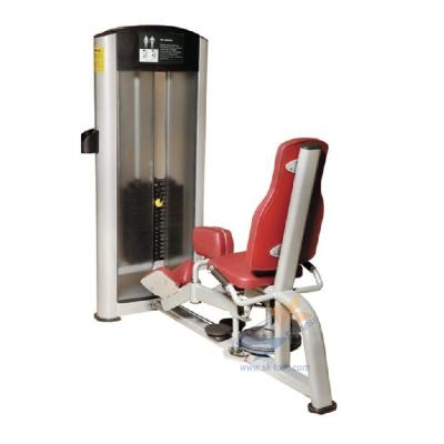 China Hot Sale Bodybuilding Gym Equipment Luxury Commercial Hip Summons And Abduction for sale