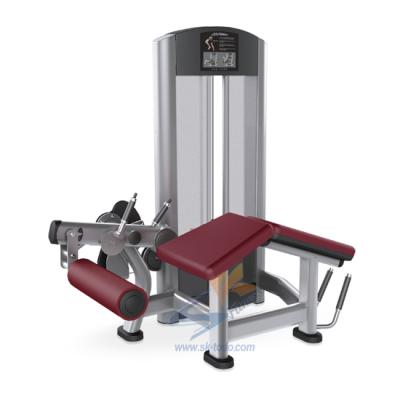 China Hot Selling Good Quality Bodybuilding Strength Commercial Fitness Equipment Horizontal Leg Curl Machine for sale