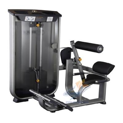 China 2021 Hot Selling High Quality Commercial Bodybuilding Fitness Equipment Lower Back Pin Loaded Back Extension Machine Gym Equipment for sale