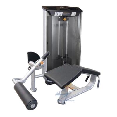 China Bodybuilding Best Selling High Quality Commercial Strength Fitness Exercise Equipment Prone Leg Curl Machine for sale