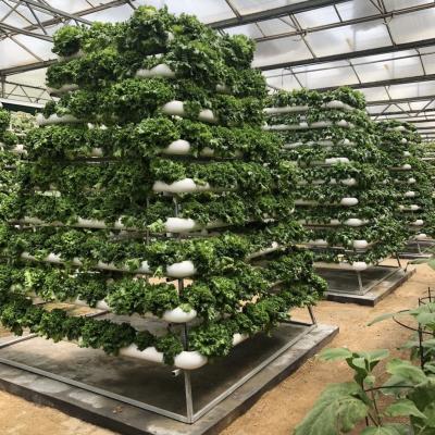 China Sistema hidropónico rotatorio vertical del jardín de la torre fácilmente controlada para las verduras frondosas en venta