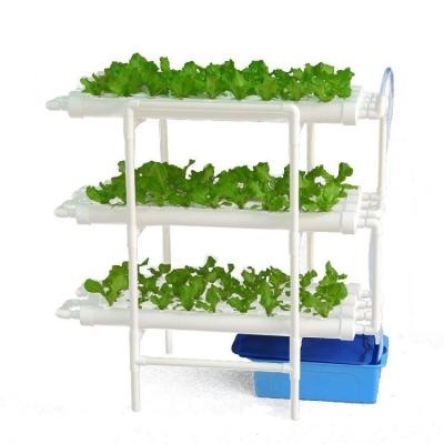 China Van de de Groeitoren van het Nft Hydroponic Systeem Binnen Hydroponic Verticale Grote Grootte Te koop