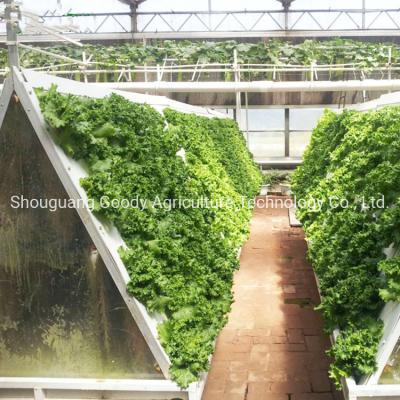 Κίνα Εσωτερικό έξω από τη γη κάθετο Hydroponics πολιτισμού σύστημα για τη γεωργία που αυξάνεται Geenhouse προς πώληση