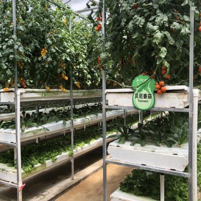 Κίνα Αυτόματο κάθετο Hydroponics σύστημα για τα μεγάλα αγροκτήματα γεωργίας προς πώληση