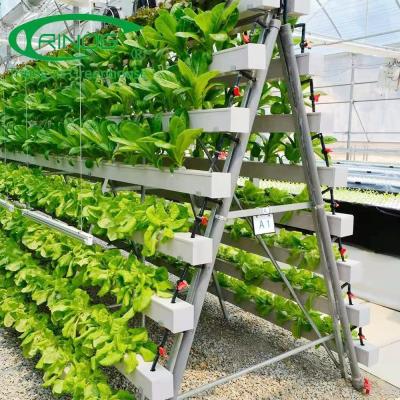 China Hydroponic Verticaal de Landbouwsysteem voor de Groenten van het Familielandbouwbedrijf het Planten Te koop