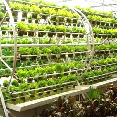 Κίνα Hydroponics Vertical Hydroponics System For Vegetables Tomato Cucumber Leaf martuce προς πώληση