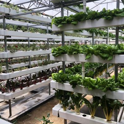 China Greenhouse Soil Less Cultivation / Hydroponics Growing Systems For Vertical Farm for sale