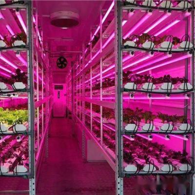 Κίνα Εσωτερικό κάθετο Hydroponics σύστημα με το φως των οδηγήσεων προς πώληση