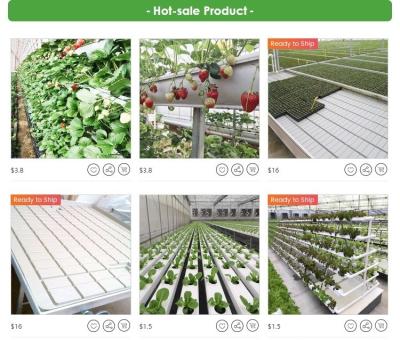 China Kleine Serreleiden kweken Lichten Verticale Geautomatiseerd Toren Hydroponic Systeem kweekt Te koop