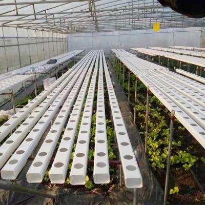 China Hydroponic Groeiende Systeem van de Container Binneninstallatie voor Landbouwbedrijf Te koop