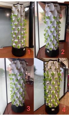 China Sistema cada vez mayor del hidrocultivo vertical de la torre para los productos y los invernaderos del jardín en venta