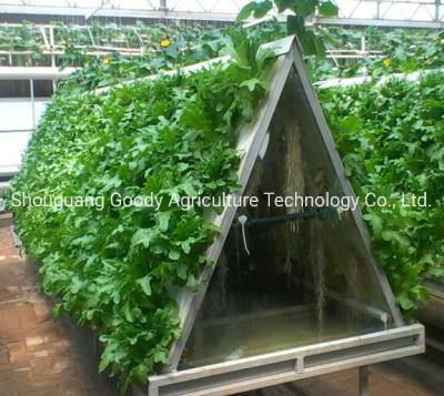 China Hoge opbrengst, Volautomatische Nieuwe Torentype Aërosolcultuur en Hydroponic Cultuur van Sla, Aardappel, Tomaat, Aardappel, enz. Te koop