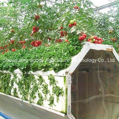 China Nuevo tipo cultivo de la torre del cultivo de Nft del sistema Soilless del hidrocultivo del aerosol en venta