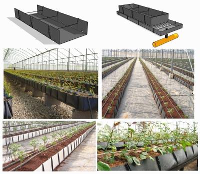 China Hydroponic Plastic Cocopeat kweekt Trogpp Tomaten Plantend Besparing van het Systeem de Economische Water Te koop