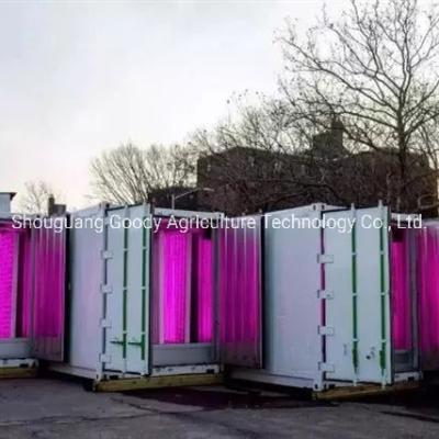 China Hydroponic het Groeien de Containerinstallatie die van het Systemenmateriaal Systeem Verticale Hydroponic kweken Te koop