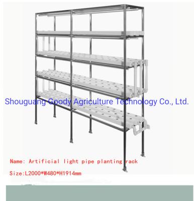 China Soilless Cultivation Pipe Planting Rack Indoor And Outdoor Greenhouse for sale