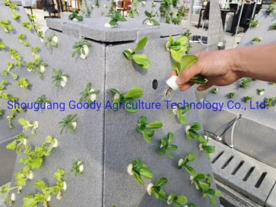 China 2022 worden de Nieuwe Aërosolcultuur, Aeroponic-de Toren en de Hydrocultuur toegepast om Allerlei Groenten in Serre te kweken/Openlucht Te koop