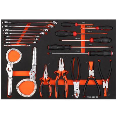 China All Customizable Drawer 22 Tray 22 Pcs Customizable Diy Cabinet Trolley Srunv Factory Tool Repair Multifunctional Tool Kit For Car Dealership for sale