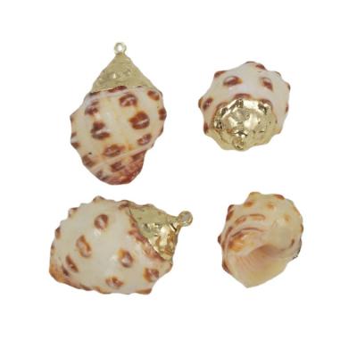 China Cute Most Popular Gold Plated Trim Mini Small Conch Pendant Natural Shell Pendant for sale