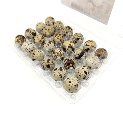 China Custom Portable Quail Eggs Recyclable Packaging 30 Tray Plastic Packaging Carton 12 Duck Egg Tray for sale