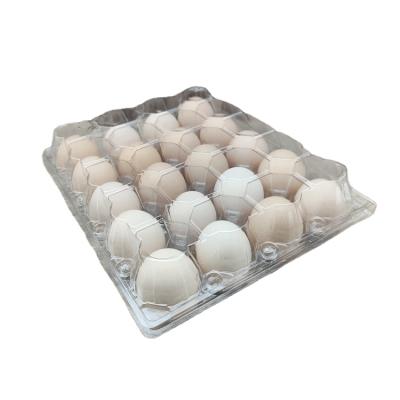 China Custom Incubator Egg Tray Plastic Blister Egg Carton Recyclable Packaging Clear Plastic Tray for sale