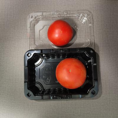 China Bio Degradable Plastic Food Fruit Trays Recyclable PP Packaging Supermarket Packaging Lid Vegetable Box Disposable Food Tray for sale