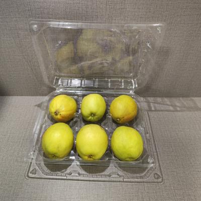 China Supermarket Low Price Recyclable Clamshell Fruit Packaging Clear Plastic PVC PET Clamshell Blister Folding Box for sale