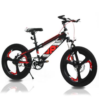 China Street customized 20 inch outdoor sports mountain bicycle/magnesium alloy wheels/high carbon steel cross-country cycle/OEM/kids bike for sale