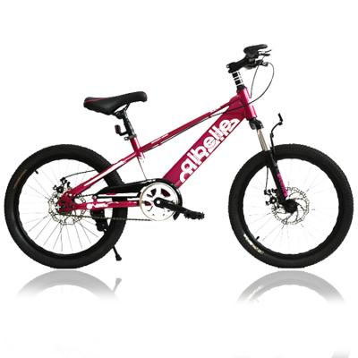 China Street factory direct inventory boy and girl purple children 20 size/bike outdoor sports/8-16 years old bicycles for sale